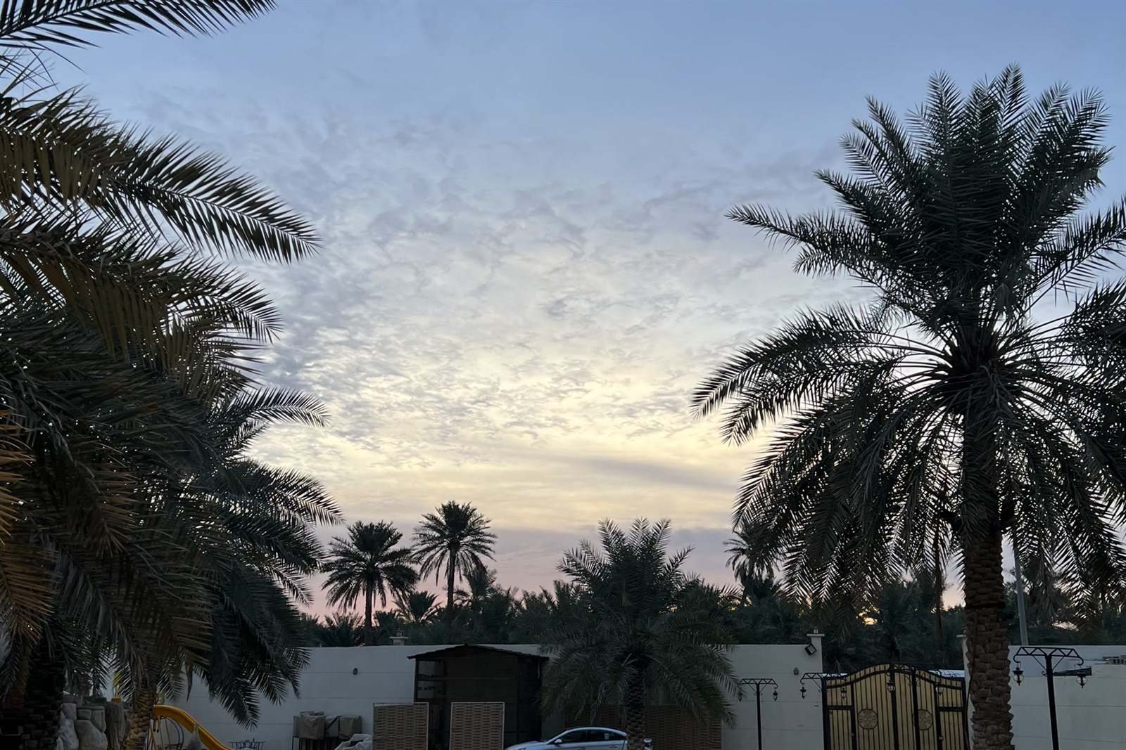 تجربة تعليمية لطلاب فويرا في الأحساء